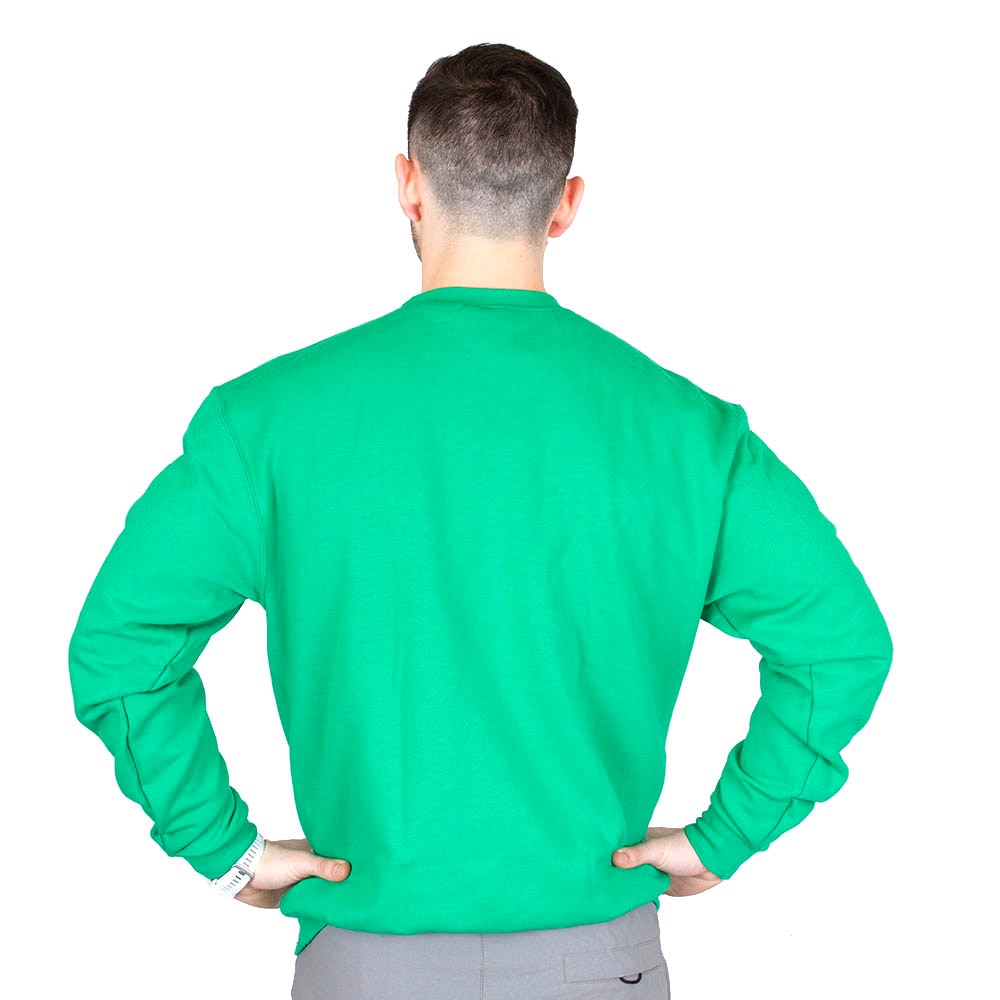 Arched Oregon, Champion, Green, Pullover, Cotton Blend, Men, Unisex, Fleece, Sweatshirt, 942066